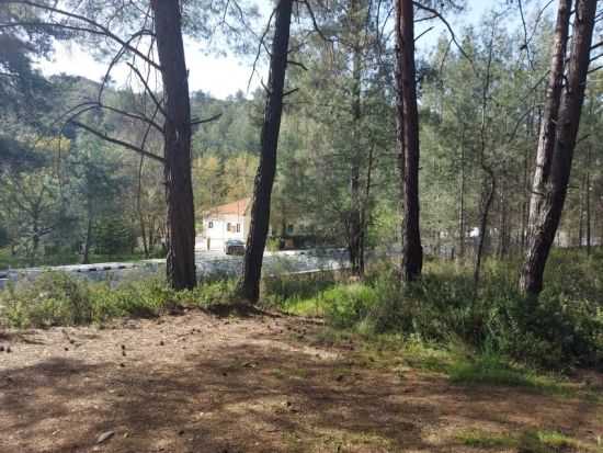 Large Residential Plot In Kato Platres